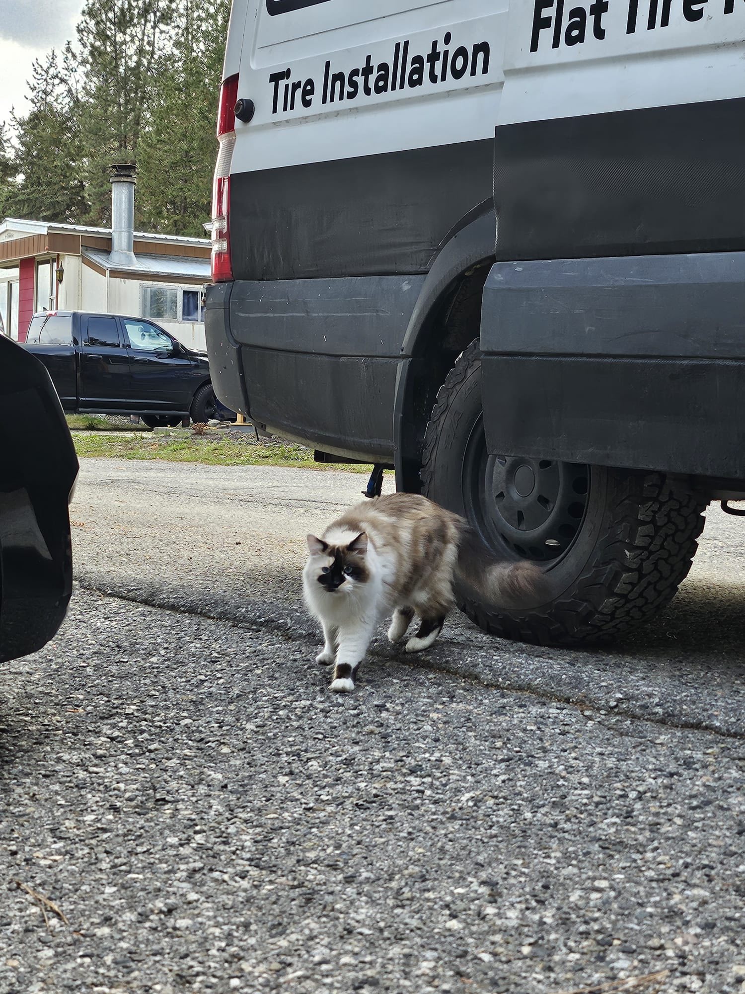 Go Pro Tires service